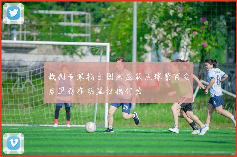 裁判专家指出国米应获点球紫百合后卫存在明显拉拽行为