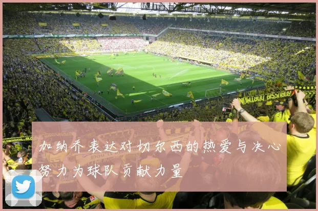 加纳乔表达对切尔西的热爱与决心努力为球队贡献力量