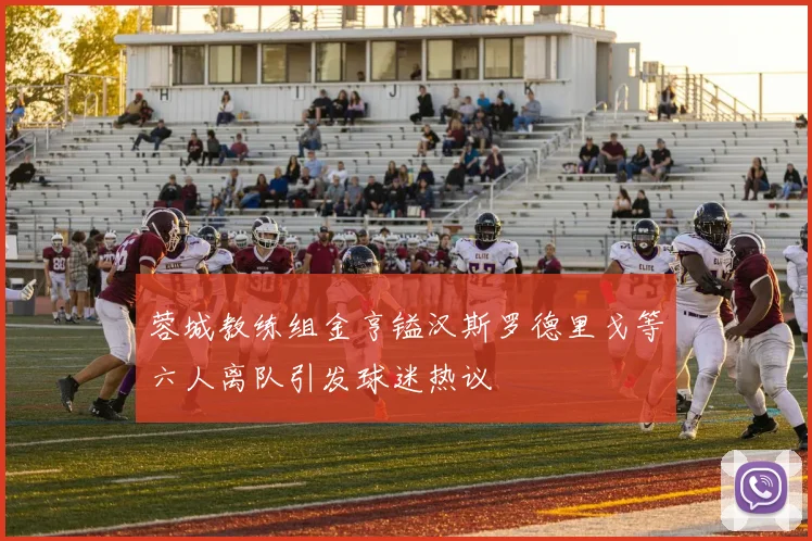 蓉城教练组金亨镒汉斯罗德里戈等六人离队引发球迷热议