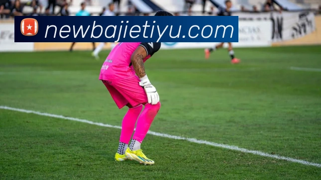 八戒体育APP 封面图